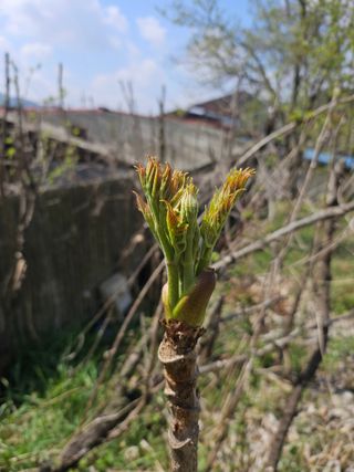 김제일주농장님의 자유주제 · 자유게시판 작성글 사진