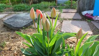 산골촌부님의 자유주제 · 자유게시판 작성글 사진