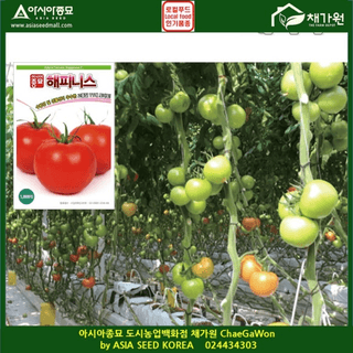 아시아종묘님의 자유주제 · 자유게시판 작성글 사진