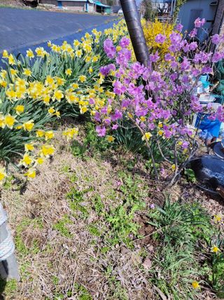 김종옥님의 자유주제 · 자유게시판 작성글 사진