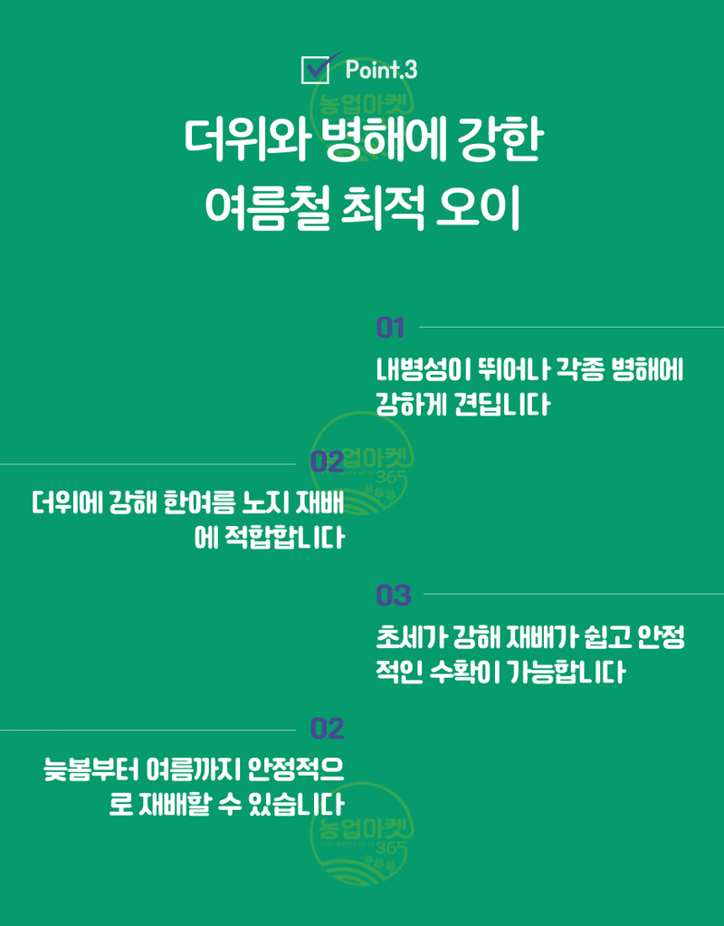 농업마켓365님의 장터 판매 상품 [농업마켓365 아시아종묘 오이 글로리삼척 50립 씨앗 종자 종묘 텃밭 주말농장 농사] 첨부 사진