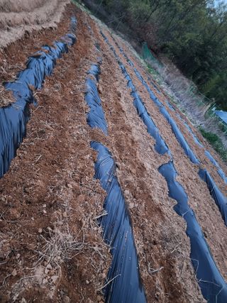 박병한님의 기타작물 · 자유게시판 작성글 사진