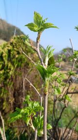팜모닝 자유주제·자유게시판 게시글 이미지