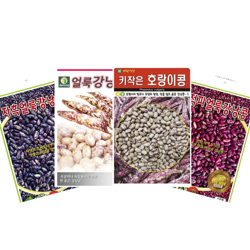 장터 상품 [비넝쿨 얼룩강낭콩 4종세트 - 자흑, 적피, 얼룩, 키작은호랑이 강낭콩] 썸네일