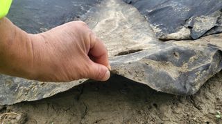 늘푸른 농장주님의 🌿농부님의 제초법은? · 참여글 작성글 사진