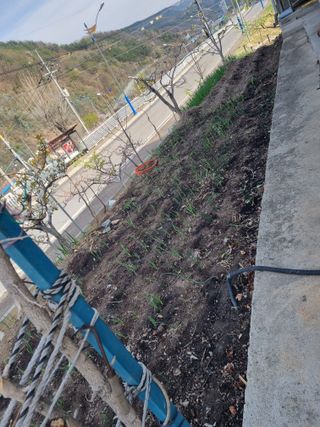 김용대님의 자유주제 · 자유게시판 작성글 사진