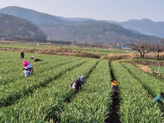 서해숙님의 자유주제 · 자유게시판 작성글 사진