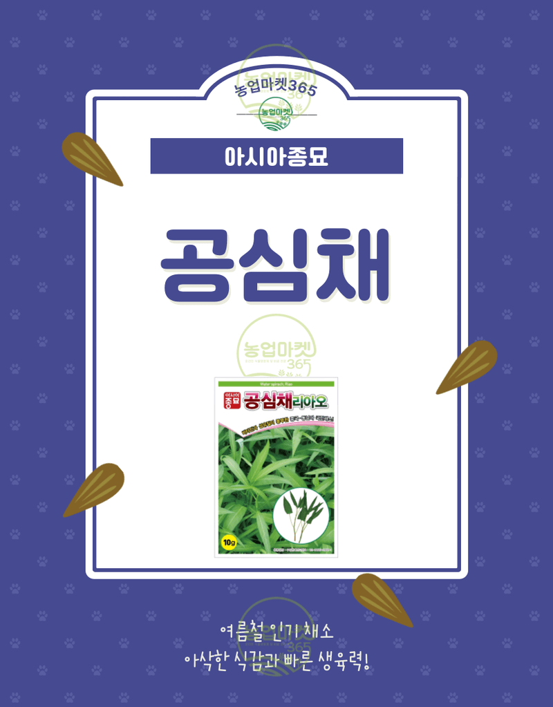 농업마켓365님의 장터 판매 상품 [농업마켓365 아시아종묘 공심채 리아오 10g 씨;앗 종자 텃밭 주말농장 농사] 첨부 사진