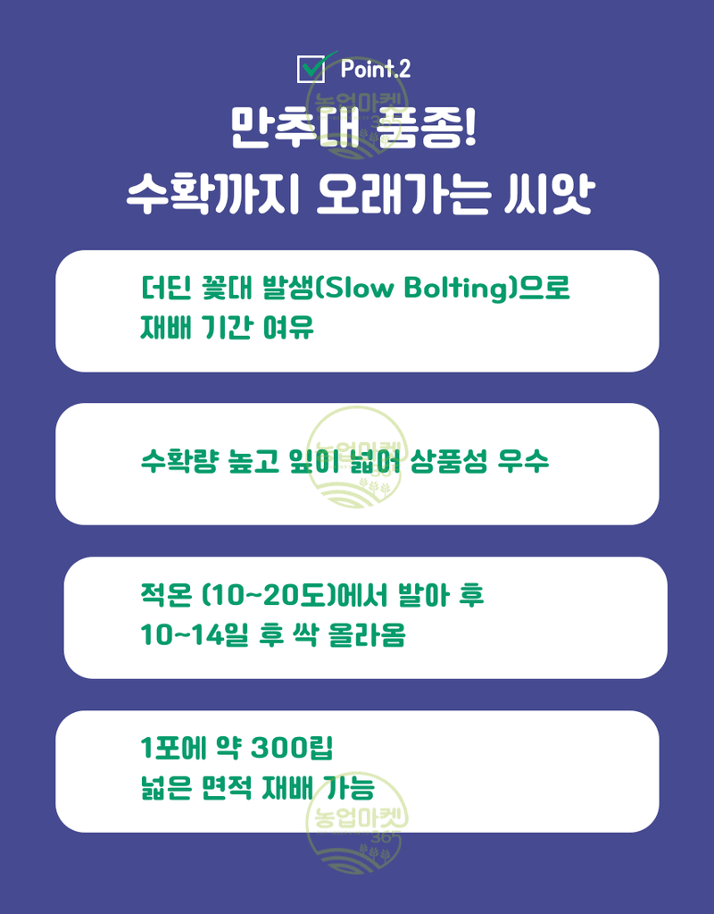 농업마켓365님의 장터 판매 상품 [농업마켓365 아시아종묘 고수 아시아향채 300립 500g 씨앗 종자 텃밭 주말농장 농사] 첨부 사진