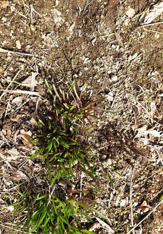 고추건조기부품판매님의 자유주제 · 자유게시판 작성글 사진