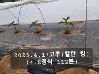 박성민님의 자유주제 · 자유게시판 작성글 사진