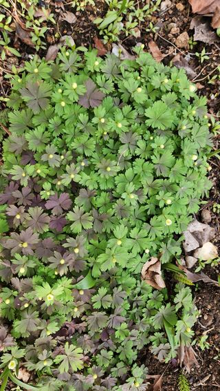 고추건조기부품판매님의 자유주제 · 자유게시판 작성글 사진