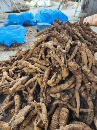 윤미선(농경채인증님의 작성글 사진