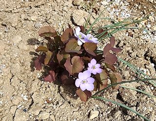 고추건조기부품판매님의 자유주제 · 자유게시판 작성글 사진