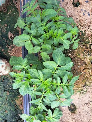 박정규님의 자유주제 · 자유게시판 작성글 사진