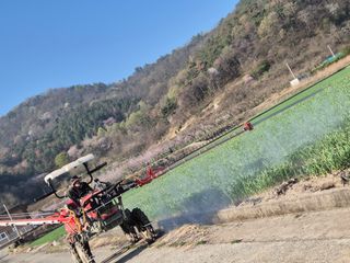 서해숙님의 자유주제 · 자유게시판 작성글 사진