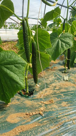 김인선님의 자유주제 · 자유게시판 작성글 사진