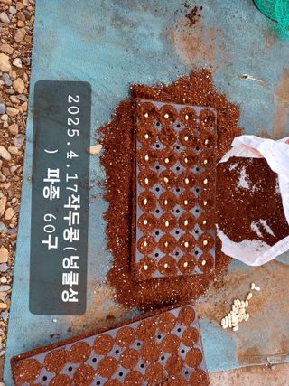 박성민님의 자유주제 · 자유게시판 작성글 사진