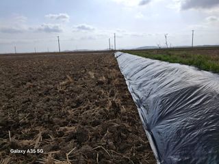 김계태 님의 🌿농부님의 제초법은? · 참여글 작성글 사진