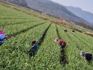 서해숙님의 자유주제 · 자유게시판 작성글 사진