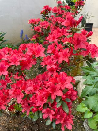 오디님의 자유주제 · 자유게시판 작성글 사진