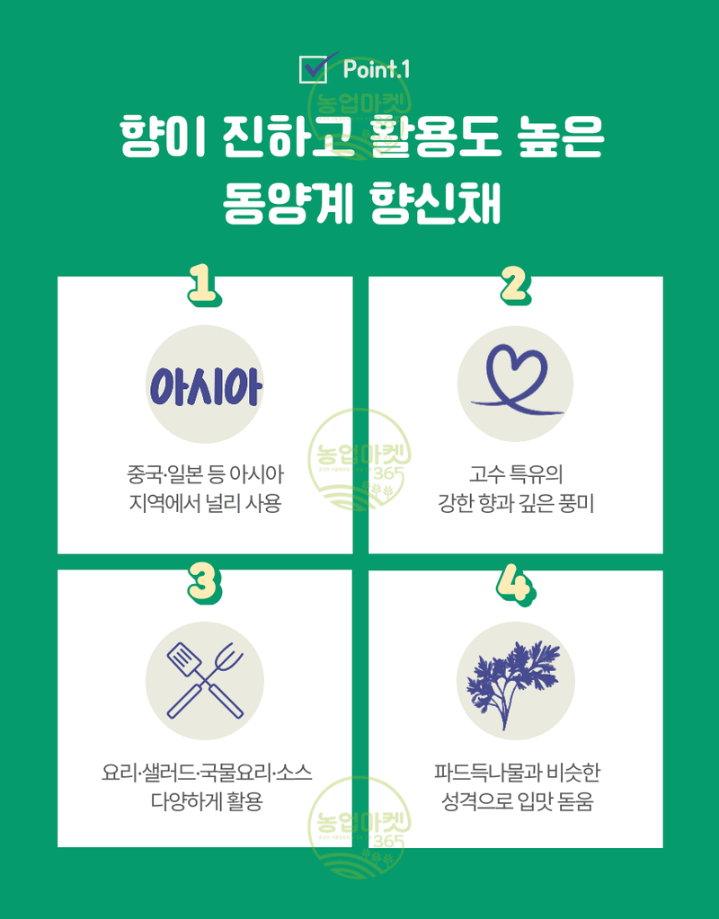 농업마켓365님의 장터 판매 상품 [농업마켓365 아시아종묘 고수 아시아향채 300립 500g 씨앗 종자 텃밭 주말농장 농사] 첨부 사진