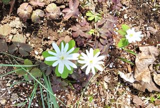 고추건조기부품판매님의 자유주제 · 자유게시판 작성글 사진