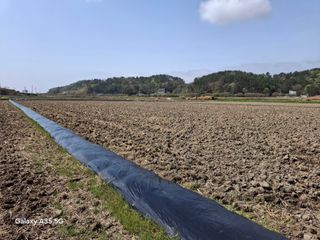 김계태 님의 🌿농부님의 제초법은? · 참여글 작성글 사진