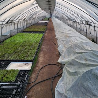 양지모종님의 자유주제 · 자유게시판 작성글 사진