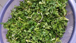 김지철님의 자유주제 · 자유게시판 작성글 사진