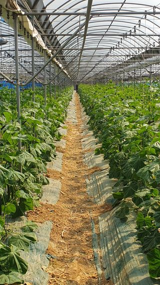 김인선님의 자유주제 · 자유게시판 작성글 사진