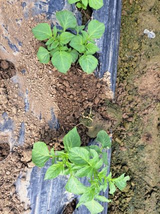 박정규님의 자유주제 · 자유게시판 작성글 사진