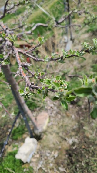 김도균님의 🌿농부님의 제초법은? · 참여글 작성글 사진