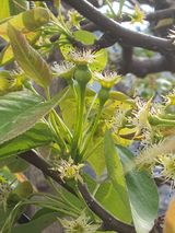 팜모닝 자유주제·자유게시판 게시글 이미지