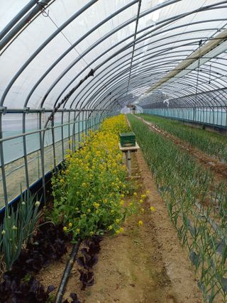 전원수님의 🌿농부님의 제초법은? · 참여글 작성글 사진