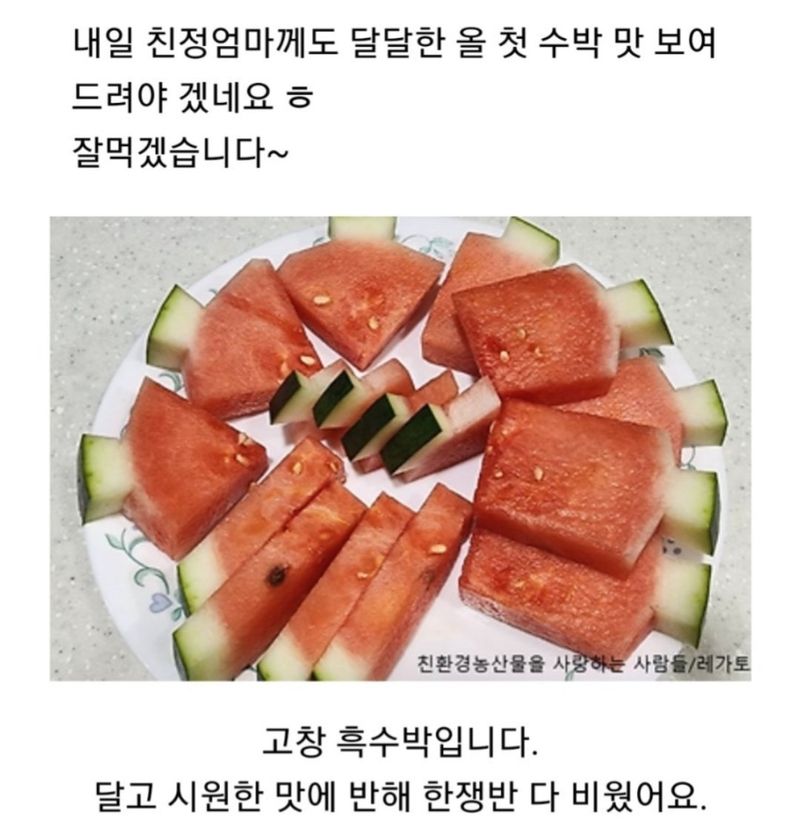 사랑꽃농장님의 장터 판매 상품 [고창 씨없는 수박8kg급] 첨부 사진