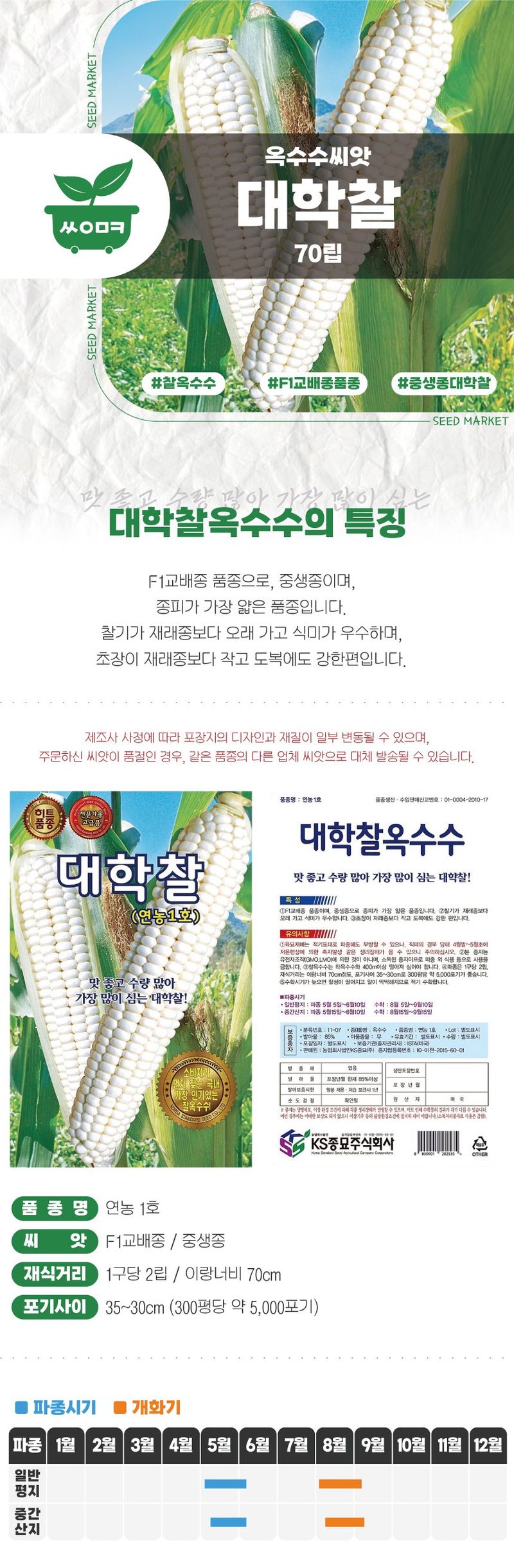 산들마켓,씨앗마켓님의 장터 판매 상품 [산들마켓 대학찰 옥수수 씨앗 70립 연농1호 가장 인기 많은 옥수수씨 종자 3개+랜덤 씨앗 1개 증정] 첨부 사진