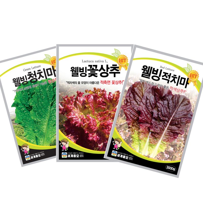 장터 상품 [기본 상추씨앗 3종세트 - 꽃상추, 적치마, 청치마] 썸네일