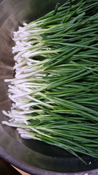 김지철님의 자유주제 · 자유게시판 작성글 사진