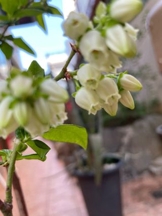 오디님의 자유주제 · 자유게시판 작성글 사진