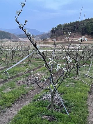 오디님의 자유주제 · 자유게시판 작성글 사진