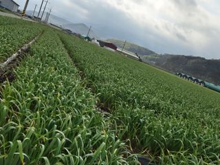 서해숙님의 자유주제 · 자유게시판 작성글 사진