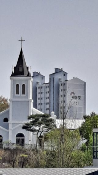 MSG0074님의 자유주제 · 자유게시판 작성글 사진