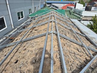 허굴산농장님의 자유주제 · 자유게시판 작성글 사진