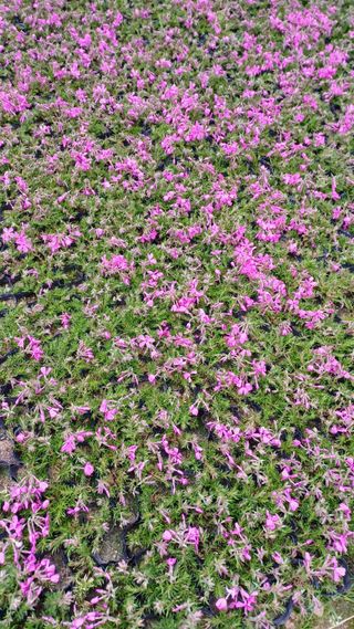 팜모닝회원 김순달 님의 자유주제 · 자유게시판 작성글 사진