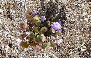 고추건조기부품판매님의 자유주제 · 자유게시판 작성글 사진