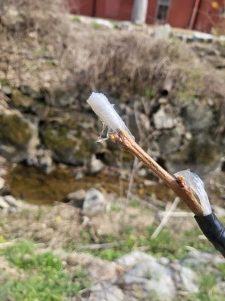 라이프님의 농사, 무엇이든 물어보세요! · 참여글 작성글 사진