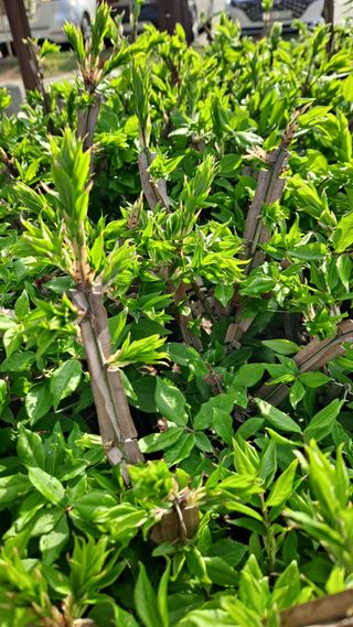 MSG0074님의 자유주제 · 자유게시판 작성글 사진