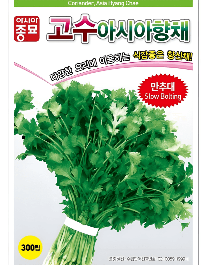 농업마켓365님의 장터 판매 상품 [농업마켓365 아시아종묘 고수 아시아향채 300립 500g 씨앗 종자 텃밭 주말농장 농사] 첨부 사진