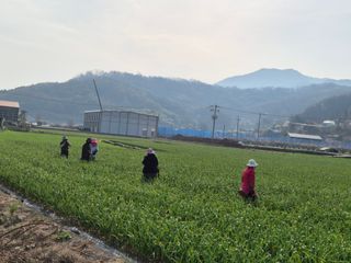 서해숙님의 자유주제 · 자유게시판 작성글 사진